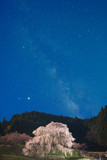 天の川と夜桜
