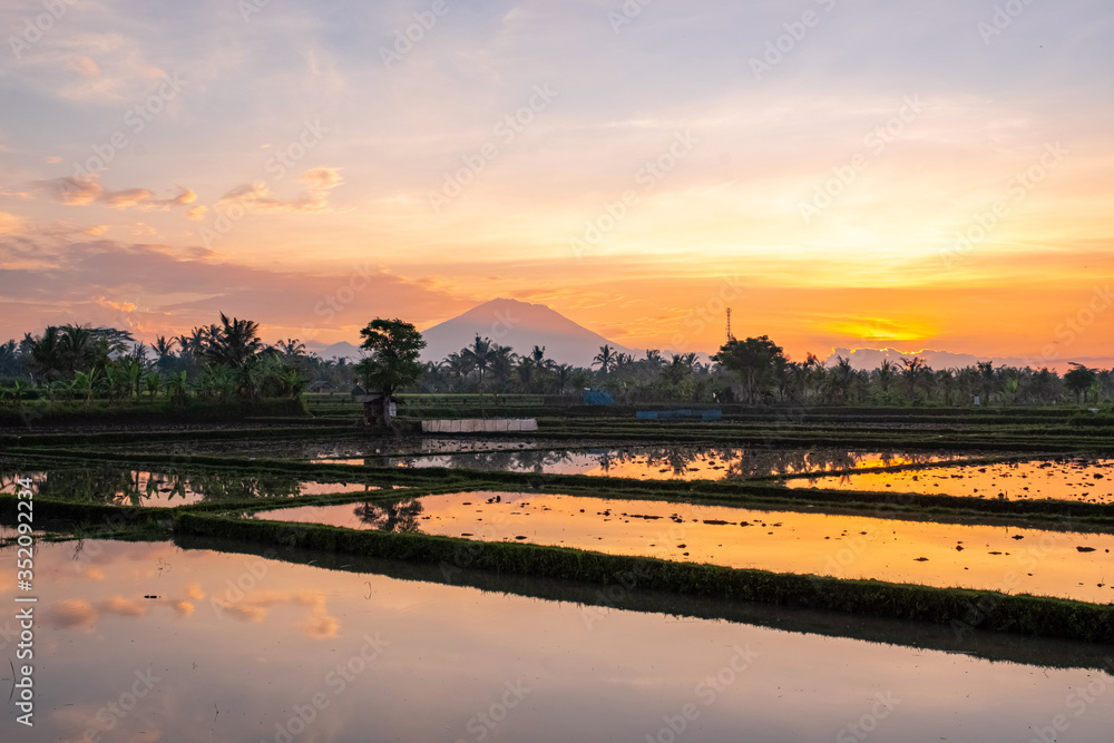 Water flooded lakes of rice fields at sunrise against the background of a volcano