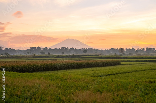 Fresh green rice field against the backdrop of the Agung volcano on the island of Bali. Bright orange sunrise. Morning rice field and volcano in a haze.
