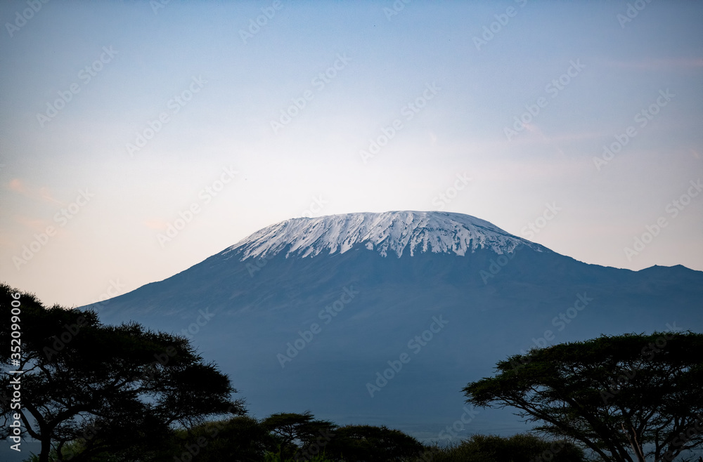 Fototapeta premium mount Kilimanjaro in early morning light