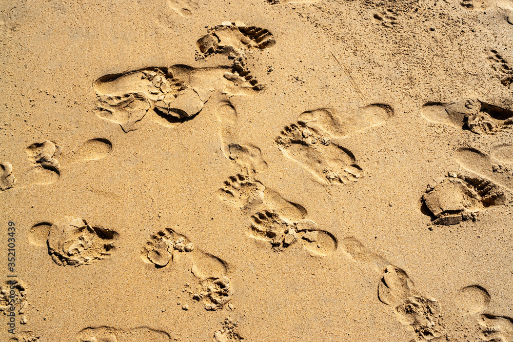 Top view of the empty yellow wet sandy beach. Background with visible texture and footprints. Close-up beach sand in the summer. Thailand. Granular surface. Top view of the empty yellow wet sandy beach. Background with visible texture and footprints. Close-up beach sand in the summer. Thailand. Granular surface.