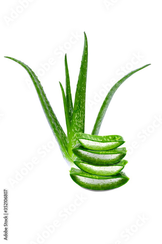 Aloe vera medicine plant, green cut pieces and leaves slices