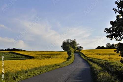 Road among the fields