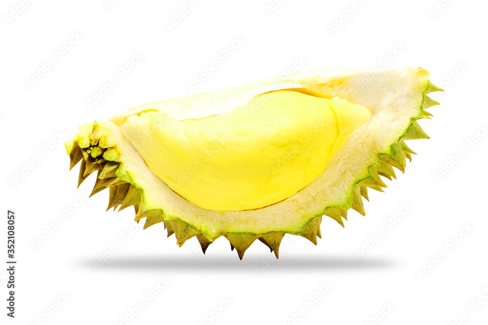 Mon Thong durian yellow durian fruit on white background Mon Thong durian yellow durian fruit on white background