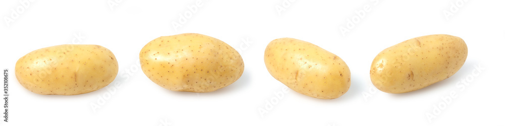 Young potato isolated on white background with clipping path. Young potato isolated on white background with clipping path.