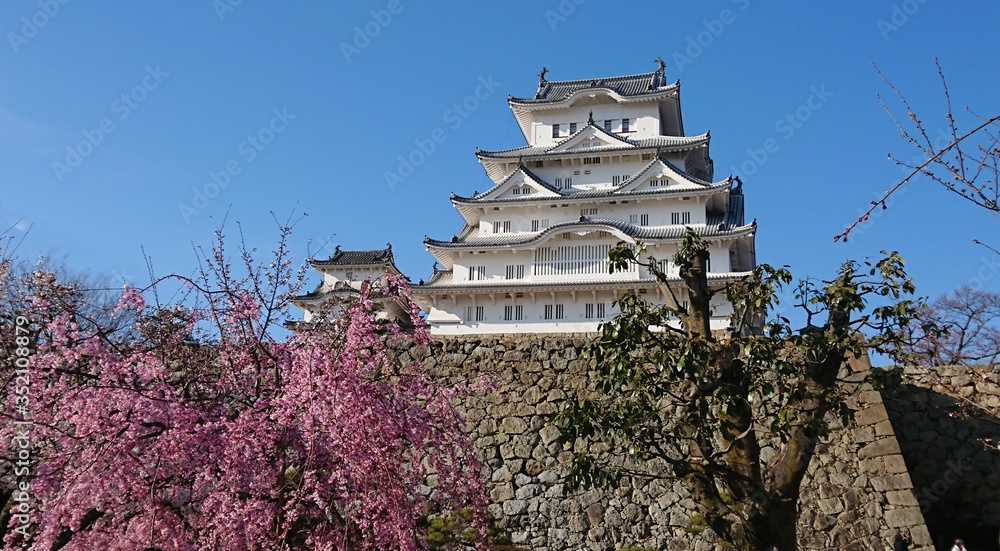 Naklejka premium 春の姫路城
