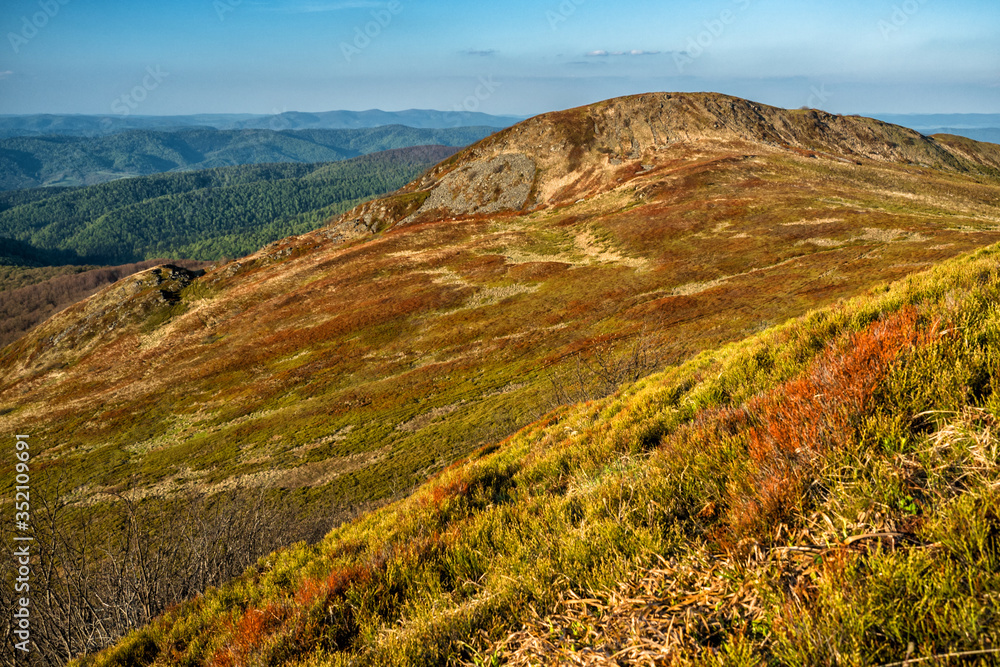 Amazing colours of the mountain meadows in the early spring. Bieszczady National Park. Carpathians. Poland.