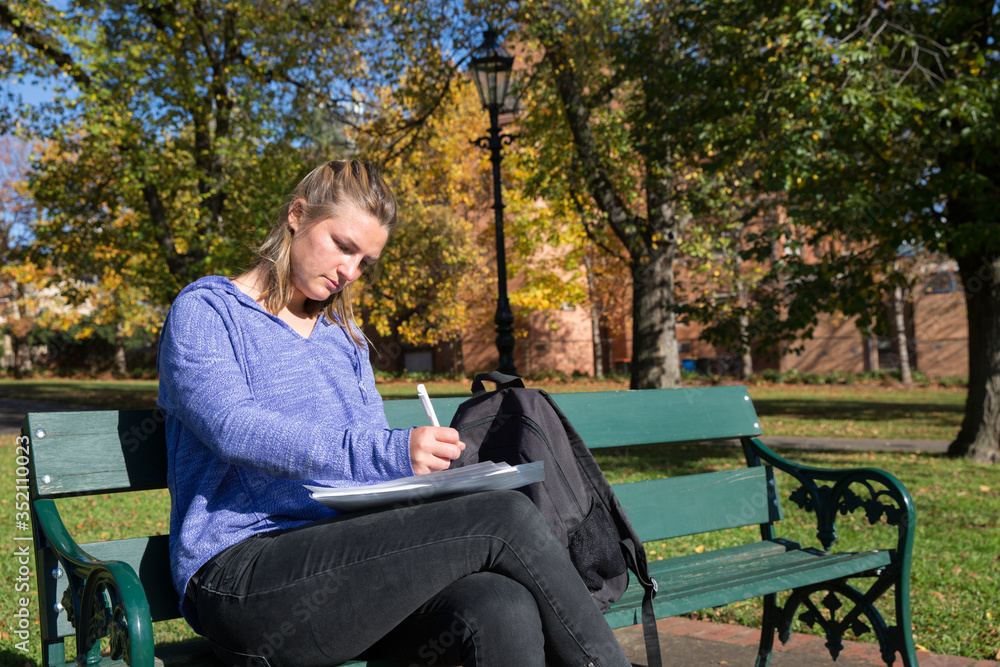 Student Making Notes in the Park Student Making Notes in the Park