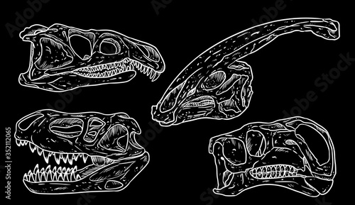 Dinosaurs skulls line hand drawn sketch image set on a black chalkboard. Carnivorous and herbivorous fossils collection of images. Vector illustration