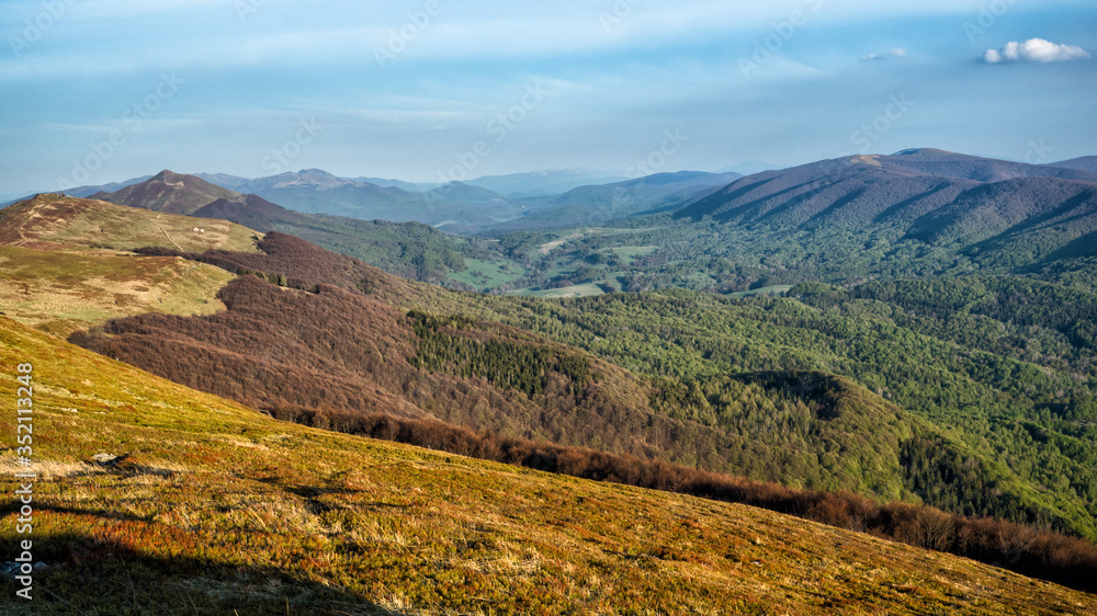 Amazing colours of the mountain meadows in the early spring. Bieszczady National Park. Carpathians. Poland. Amazing colours of the mountain meadows in the early spring. Bieszczady National Park. Carpathians. Poland.
