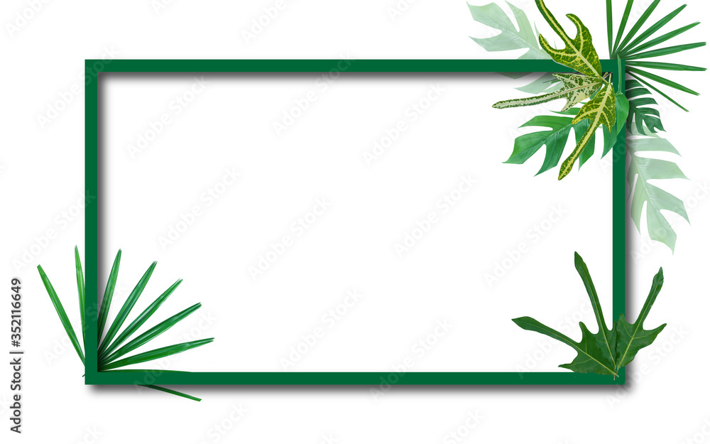 Tropical leaves nature border, foliage plant bush (Monstera, and Green leaves) floral arrangment on white background with green frame.