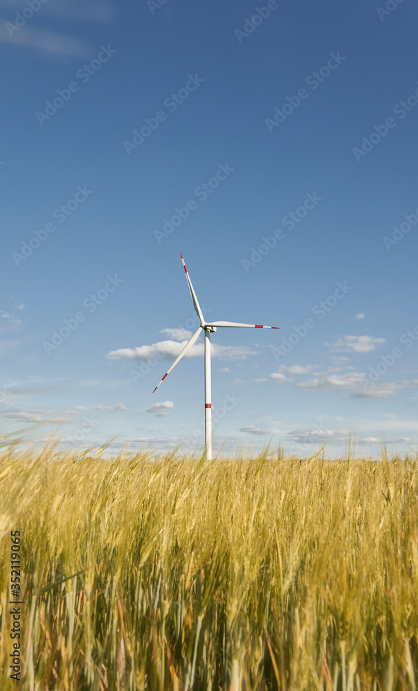 Wind generators turbines on wheat field Wind generators turbines on wheat field