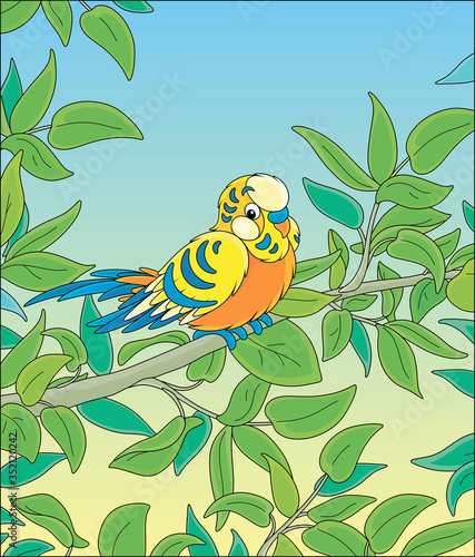 Amusing colorful parrot, lo...