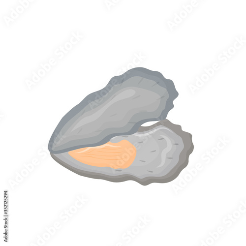 Opened oyster shell cartoon vector illustration. Fresh healthy seafood flat color object. Mediterranean diet. Luxury expensive product. Wholesome food. Delicacies isolated on white background
