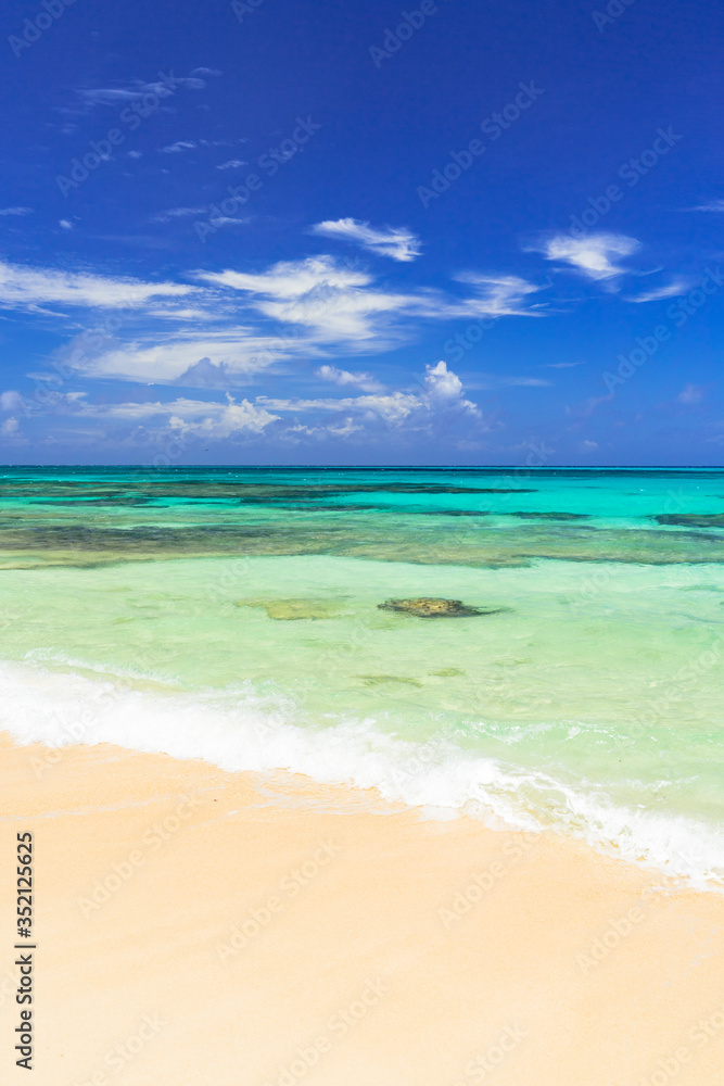 Fototapeta premium 宮古島の美しいサンゴ礁の海