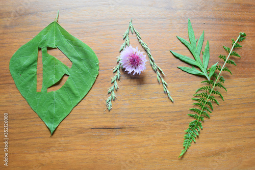 “DAY” is made of wild grass 