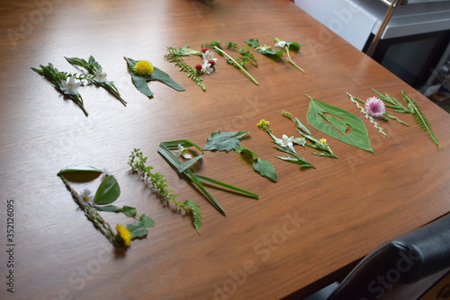 “Happy Birthday” is made of Wild grass