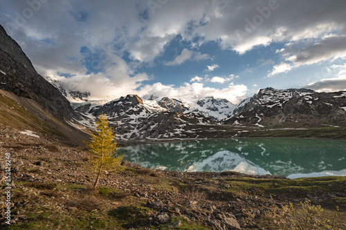 glacier lake in switzerland in the alps during in the evening sky with clouds and warm lights and a lonely tree