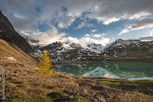 glacier lake in switzerland in the alps during in the evening sky with clouds and warm lights and a lonely tree