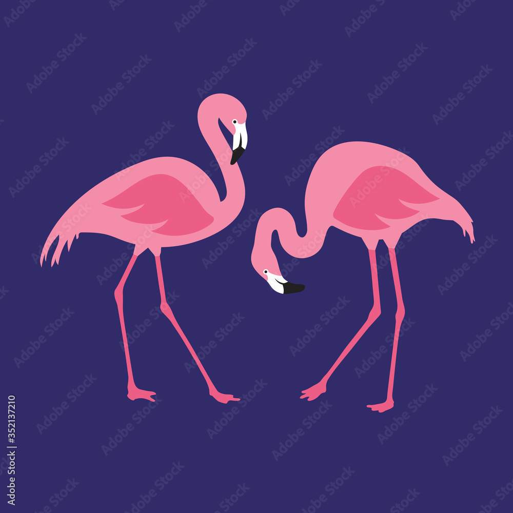 Obraz premium Vector isolated pink flamingos pair. Hand Drawn illustration