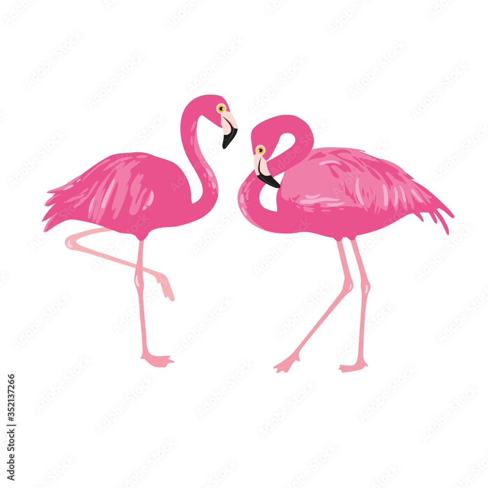 Obraz premium Vector isolated pink flamingos pair. Hand Drawn illustration