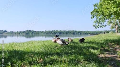 Varese Lake. In the area of Gavirate and Comerio. Italy photo