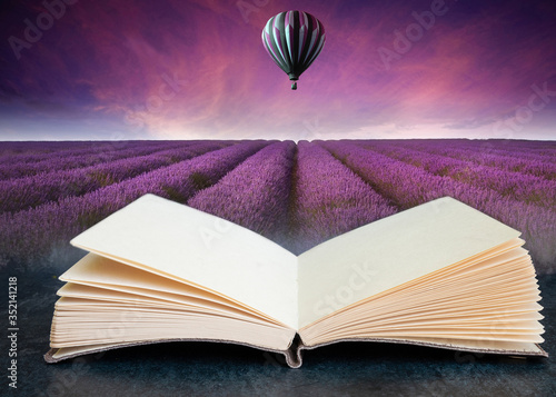 Conceptual composite open b...