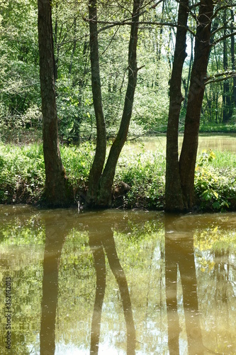 Muddy natural ponds in spring