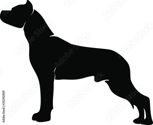 dogo argentino dog standing silhouette black vector illustration