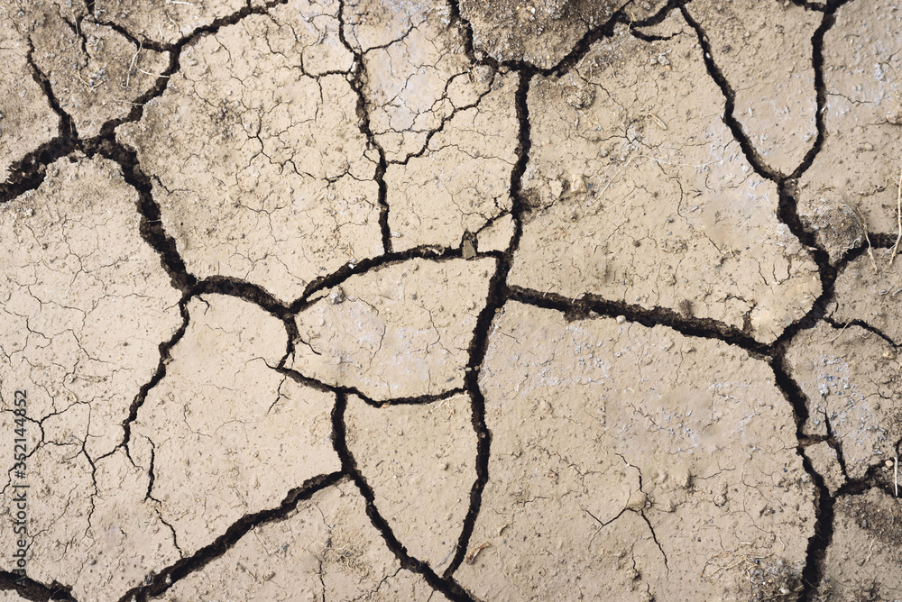 Fototapeta premium Drought, dried ground, environmenntal disasterno water, lack of moisture.