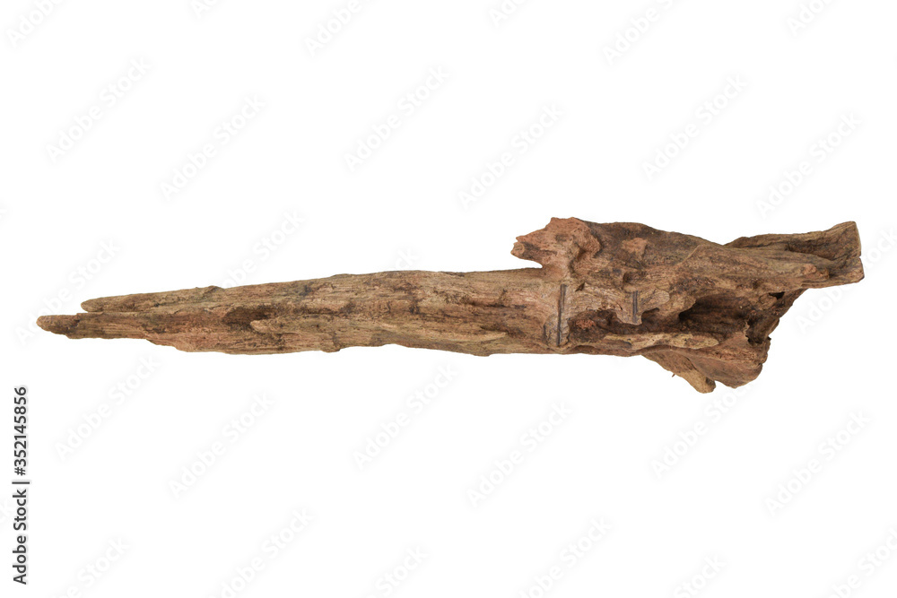 Driftwood or aged wood isolated on white background with clipping path. Closeup piece of driftwood shaped like sword for aquarium. Driftwood or aged wood isolated on white background with clipping path. Closeup piece of driftwood shaped like sword for aquarium.