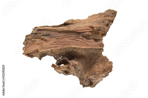 Driftwood or aged wood isolated on white background with clipping path. Closeup piece of driftwood for aquarium. photo