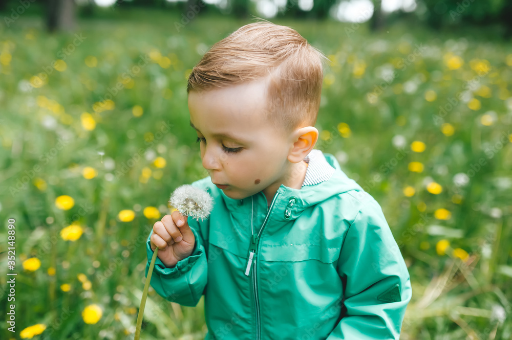 Caucasian little boy and dandelion flower in a park. Caucasian little boy and dandelion flower in a park.