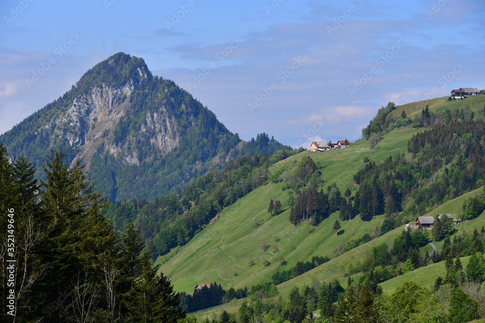 Landschaft in Gersau