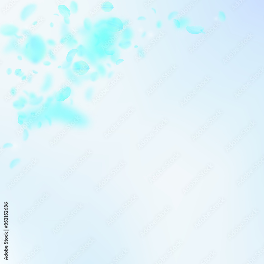Turquoise flower petals falling down. Ravishing ro Turquoise flower petals falling down. Ravishing ro