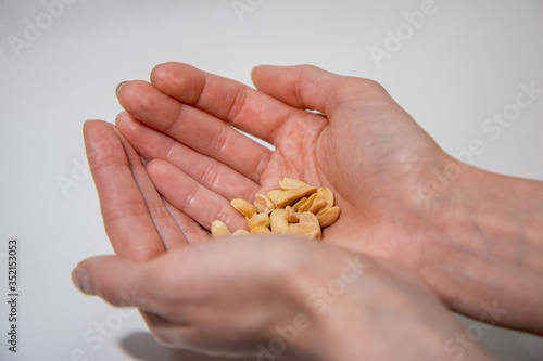 Palms holding peanuts