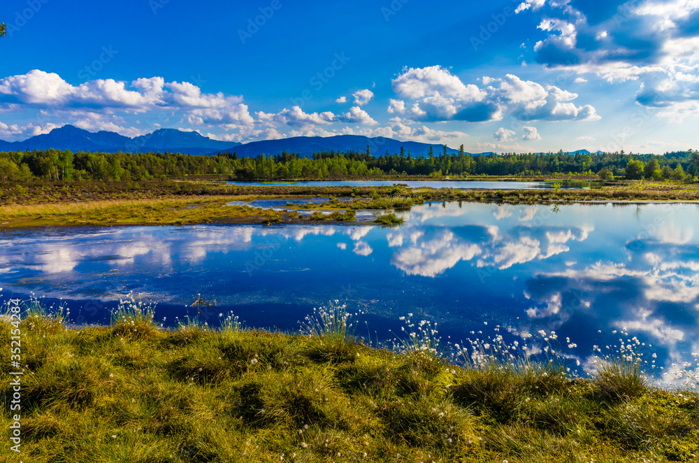 Moorland Moorland