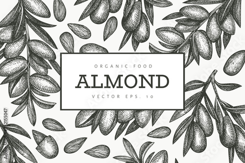 Hand drawn sketch almond design template. Organic food vector illustration. Retro nut illustration. Engraved style botanical background.