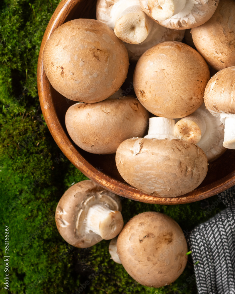 Mushrooms in a wooden bowl on a moss table. Mushrooms in a bowl on a forest background of moss. The view from the top Mushrooms in a wooden bowl on a moss table. Mushrooms in a bowl on a forest background of moss. The view from the top