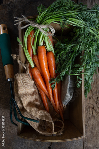 Fresh organic carrots in a box with canvas, garden tool hoe on antique wooden table. Rustic kitchen concept. Banner, poster, mock up. Grunge, vintage, rustic style photo