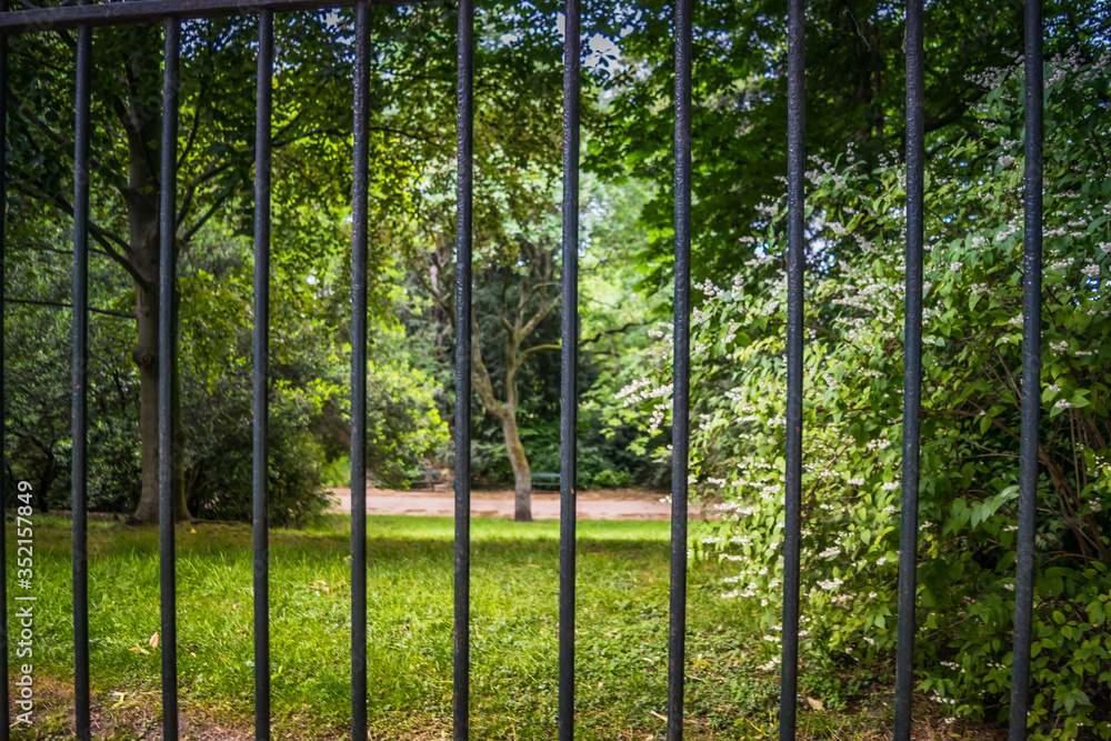tree in the park through the fence