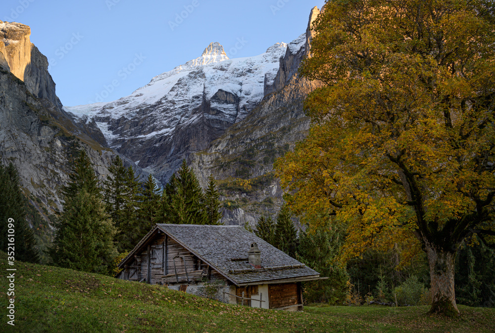 Idyllic chalet in Switzerland Idyllic chalet in Switzerland