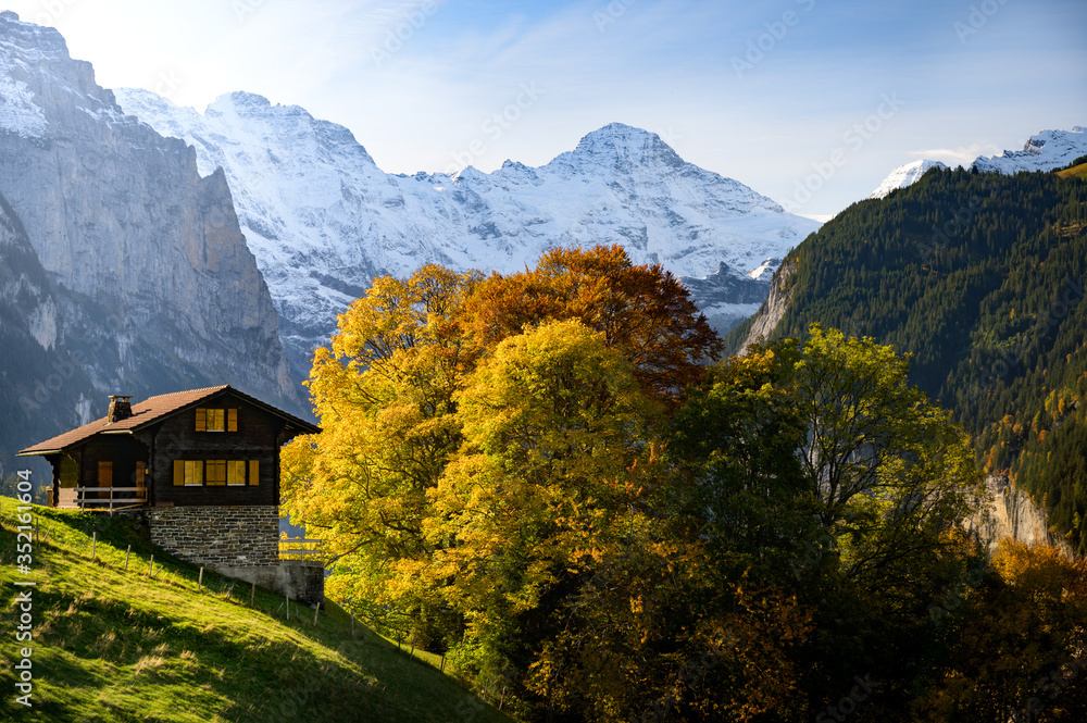 Idyllic chalet in Switzerland