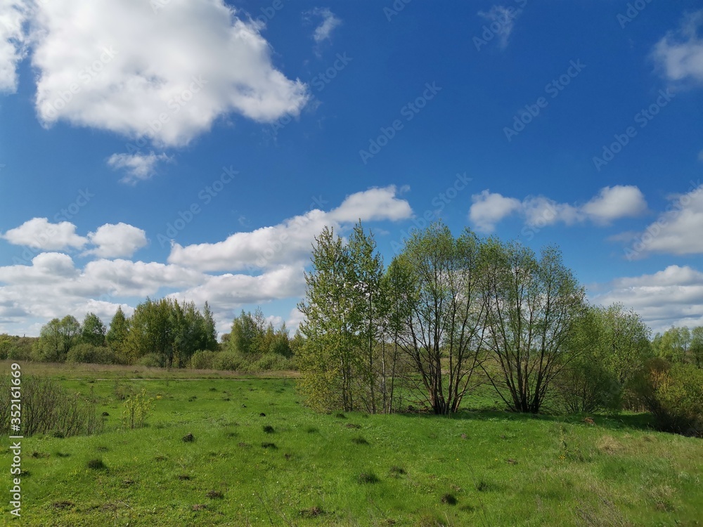 Juicy and green may landscape under a blue sky. Juicy and green may landscape under a blue sky.