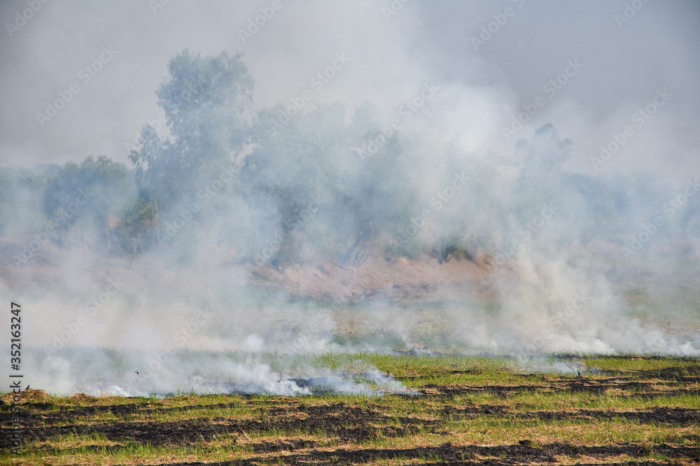 Burning fields in Thailand. Smoke and burnt grass on the field