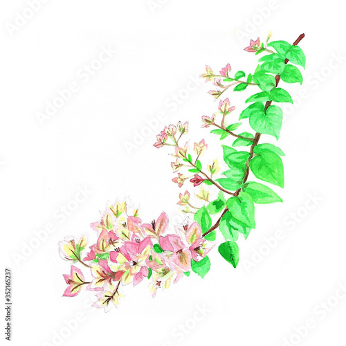 pink paper flowers on white background