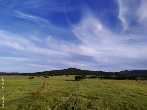 Green landscape with cirrus clouds