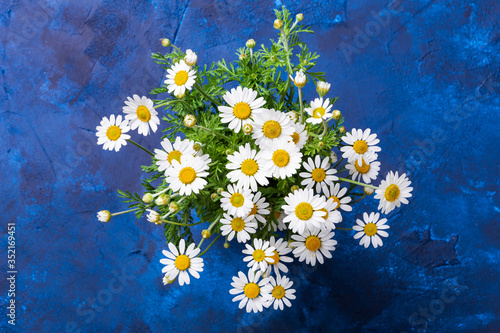 Deep blue background with chamomile