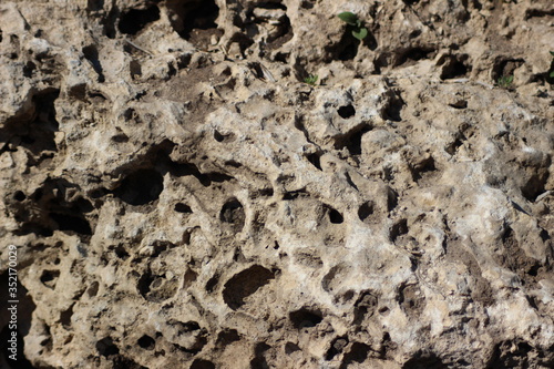stone wall texture