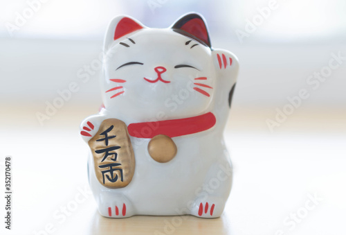 Maneki neko lucky cat show text on hand meaning rich on table, select focus